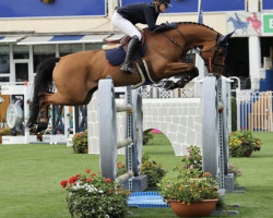 jumper Gvs Goodwins Queen (Irish Sport Horse, 2012, from Obos Quality)