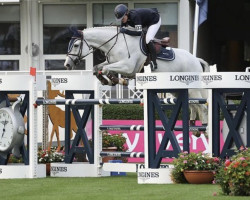 jumper Temple Alice (Irish Sport Horse, 2012, from Foxglen Cruise Control)