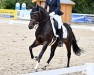 dressage horse Diamond's Mary Poppins (German Riding Pony, 2018, from Diamond Touch NRW)