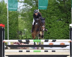 jumper Chantal 296 (Hanoverian, 2010, from Chacco-Blue)