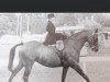 broodmare Cuckoo Waltz (British Riding Pony, 1978, from Red Man xx)