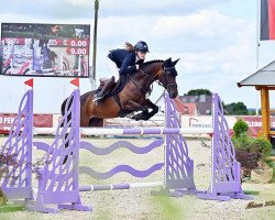 jumper Romi van't Hollandhof (Belgian Riding Pony, 2013, from Principal Dream)