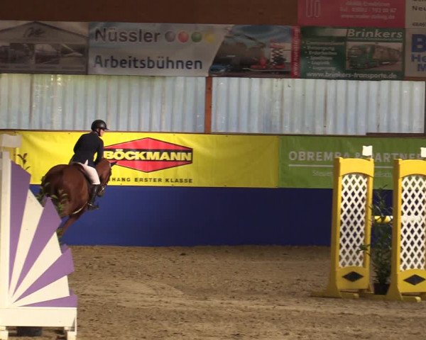 Euregio Springturnier Isterberg 2021