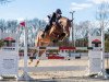 broodmare La Vie 57 (Oldenburg show jumper, 2013, from Numero Uno)