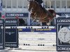 jumper Olympia van de Sint-Amandshoeve (Belgian Warmblood, 2014, from Emerald van 't Ruytershof)