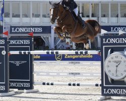 jumper Olympia van de Sint-Amandshoeve (Belgian Warmblood, 2014, from Emerald van 't Ruytershof)