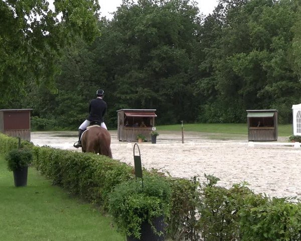 Reitturnier Olfen-Vinnum 2023