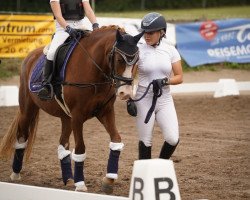 broodmare Freienfeldes Click-Clack (Welsh-Pony (Section B), 2018, from The Braes My Mobility)