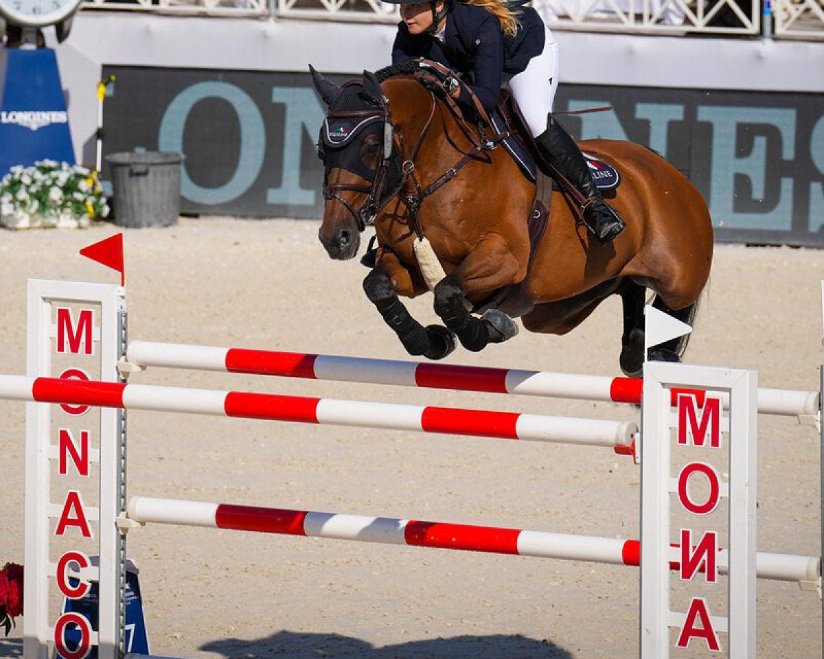 jumper How Easy (UK Warmblood, 2012, from Talan)