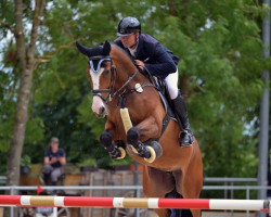 jumper Garance du Moulin MM (Oldenburger Springpferd, 2017, from Hickstead White)