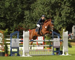 jumper Casimir T (KWPN (Royal Dutch Sporthorse), 2007, from Carolus II)