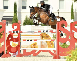 jumper Sparky (Hanoverian, 2015, from Stolzenberg)