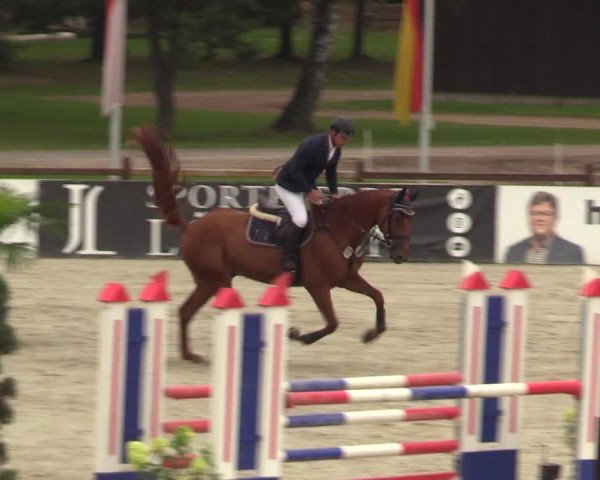 Reitturnier Westergellersen 2021