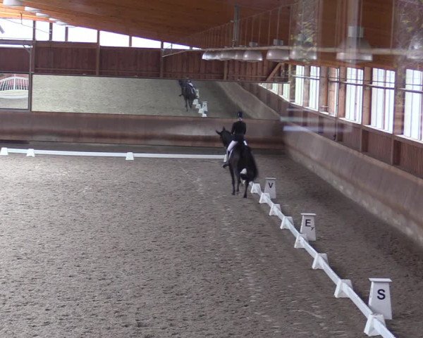Dressurturnier mit Hallenchampionat Tremsdorf, Eichenhof 2021