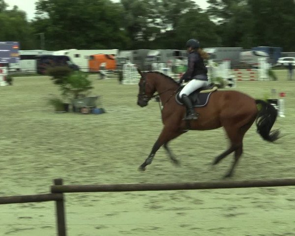 Reitturnier Nettetal-Lobberich 2023