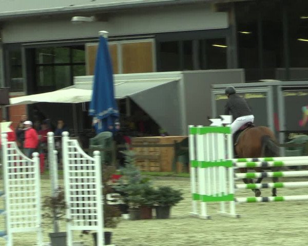 Reitturnier Nettetal-Lobberich 2023