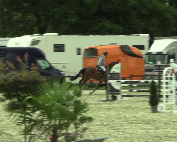 Reitturnier Nettetal-Lobberich 2023