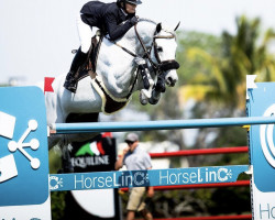 Springpferd Corner Pocket Z (Zangersheide Reitpferd, 2012, von Cornet Obolensky)