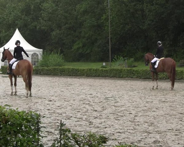 Reitturnier Olfen-Vinnum 2023