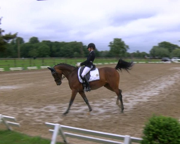 Reitturnier Nettetal-Lobberich 2023