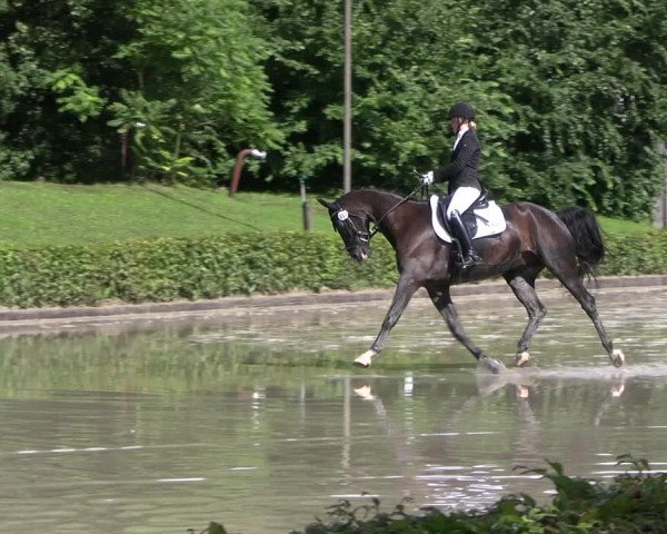 Reitturnier Olfen-Vinnum 2023