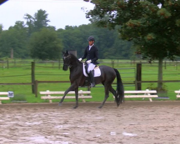 Reitturnier Nettetal-Lobberich 2023