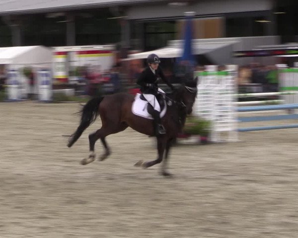 Reitturnier Nettetal-Lobberich 2023