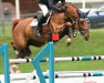 jumper Ma Pomme de Tamerville (Belgian Warmblood, 2012, from Deauville van T&L)