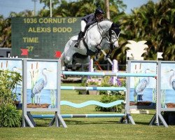 stallion Cornut Gp (Oldenburg, 2013, from Cornet Obolensky)