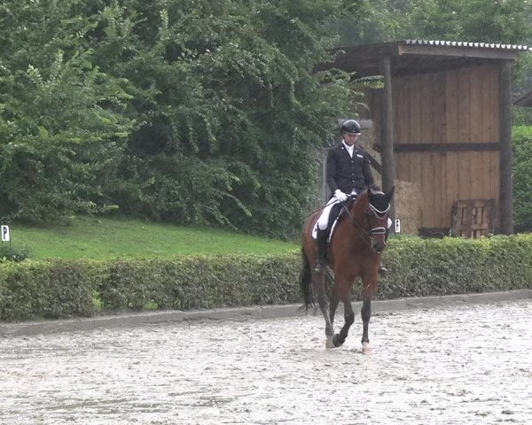 Reitturnier Olfen-Vinnum 2023