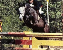 broodmare Romina (Rhinelander, 1983, from Rekord GL)