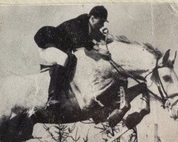 broodmare Rominte (Rhinelander, 1972, from Roderich)