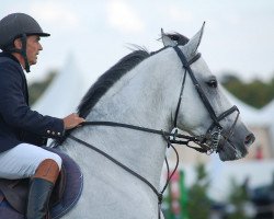 stallion Luc des Bruyeres (Selle Français, 1999, from I love you)