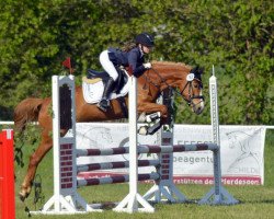 dressage horse Darja G (Deutsches Reitpony, 2019, from Dallmayr K)