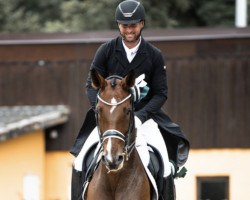 dressage horse Bonne Jument (Westphalian, 2010, from Belissimo NRW)