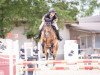 jumper Zimba 20 (Hanoverian, 2017, from Zinedine)