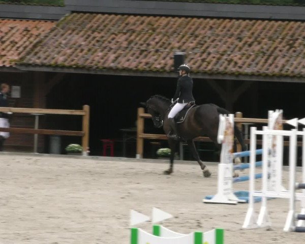 Reitturnier Alvern 2023