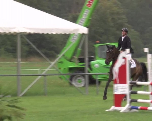 Reitturnier Bad Kissingen 2023