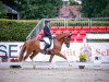 dressage horse Grzimek (German Riding Pony, 2019, from Golden Clooney)