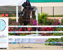 Springpferd Lucy In The Sky (Schwedisches Warmblut, 2009, von Tornesch)