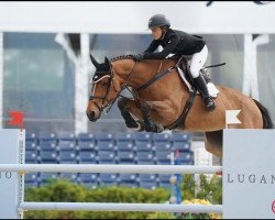 jumper Hoxynula-N (KWPN (Royal Dutch Sporthorse), 2012, from Inshallah de Muze)