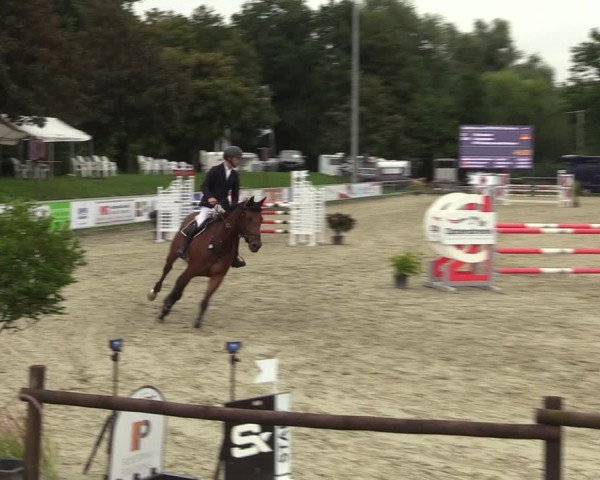 Reitturnier Nettetal-Lobberich 2023