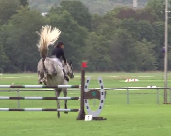 Reitturnier Bad Kissingen 2023