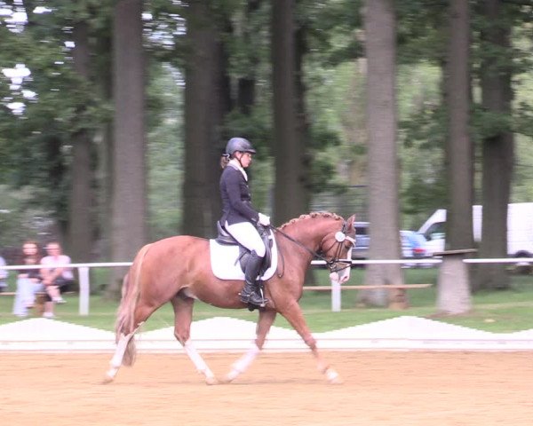 Reitturnier Zobbenitz 2023