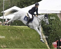 Springpferd Fyberlinus H (KWPN (Niederländisches Warmblut), 2010, von Zirocco Blue)