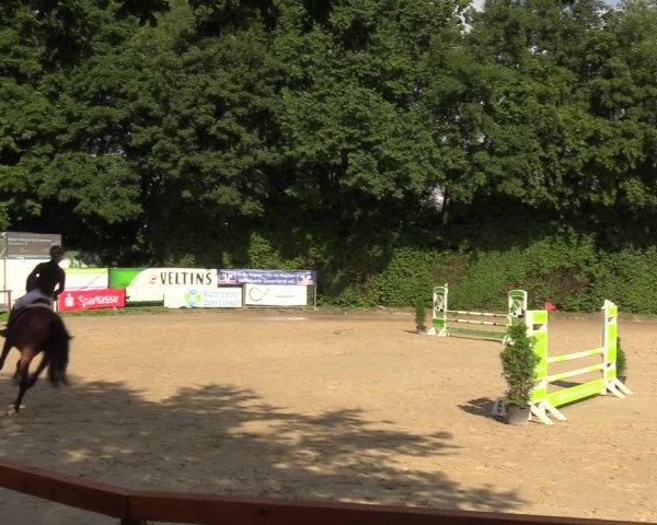 Reitturnier Arnsberg-Holzen 2023