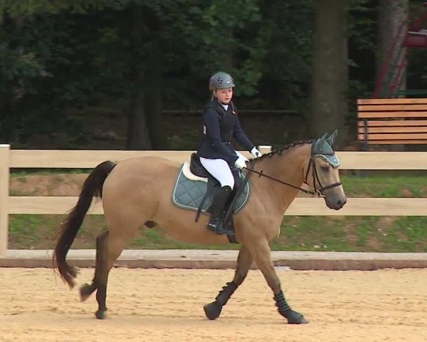 Reitturnier Tiefenhof 2023