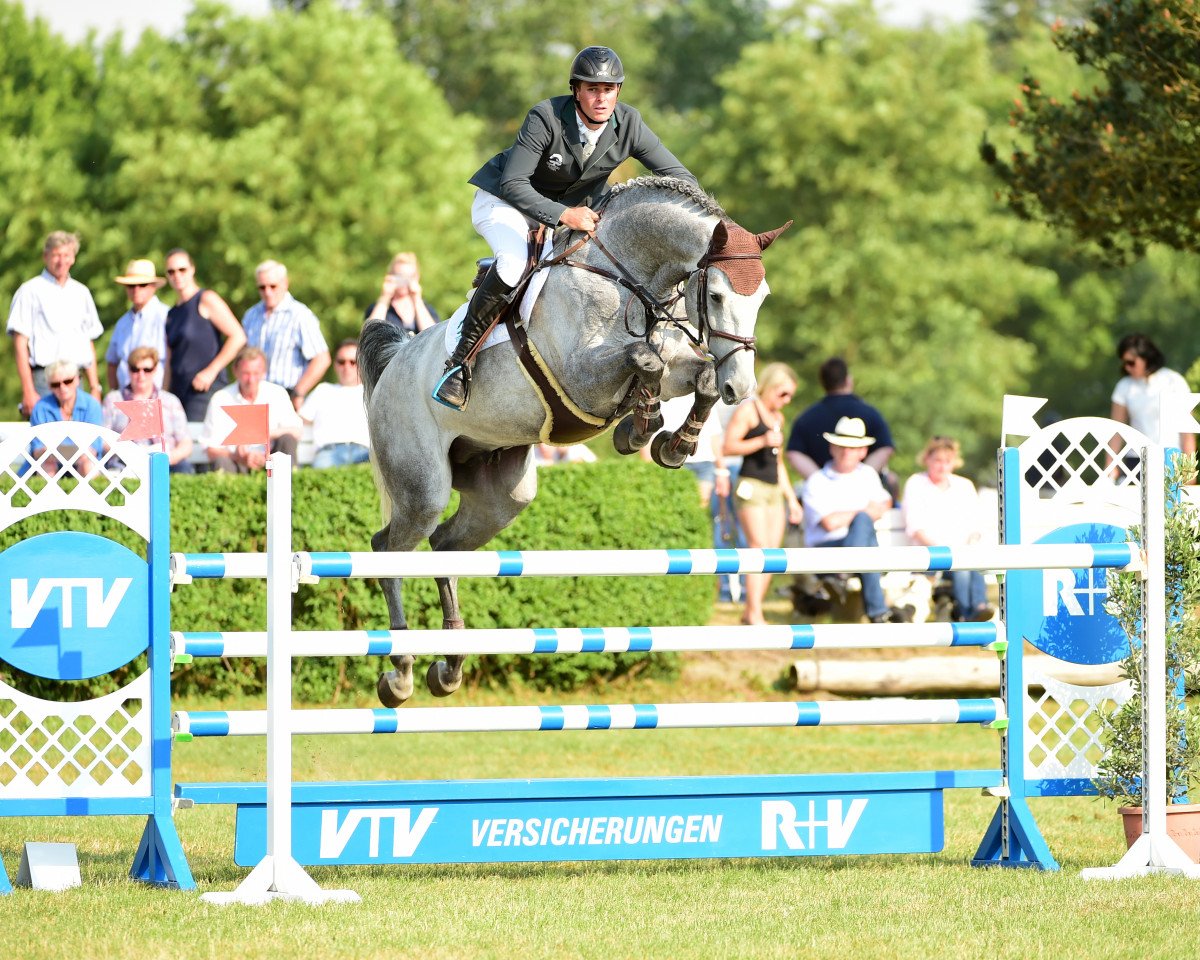 stallion Cassirano del Rilate (Holsteiner, 2009, from Cassini I)