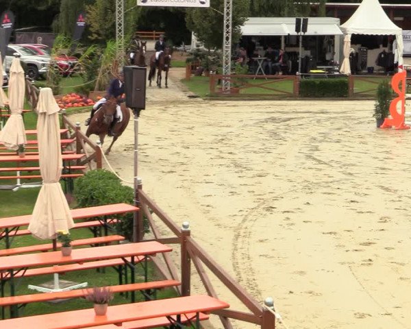 Equus Colonius - Reitanlage Brüse Köln 2021