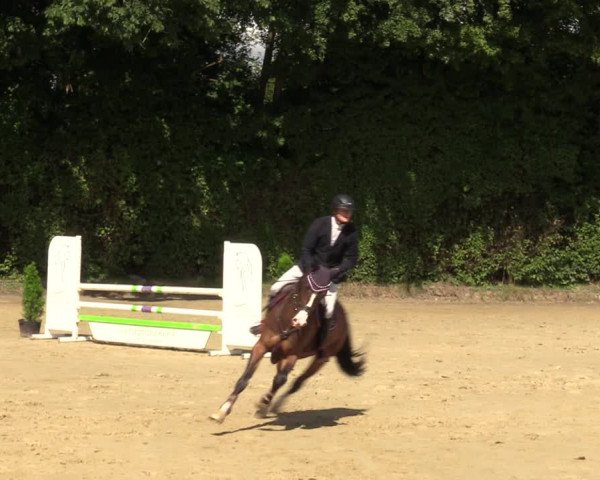 Reitturnier Arnsberg-Holzen 2023